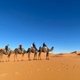 https://www.izilftravel.com/wp-content/uploads/2022/05/photo2jpg-160x160.jpg